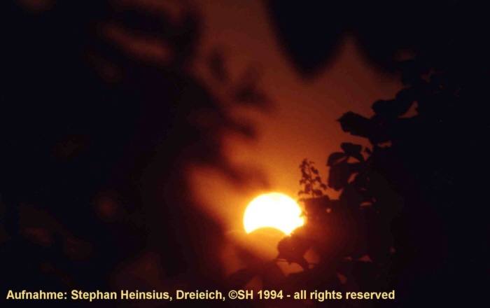 Sonnenfinsternis 1994 mit Kastanienbl�te