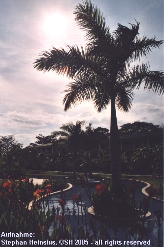 Royal Decameron Resort