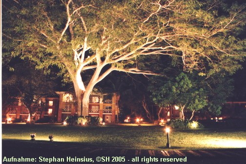 Strand am Royal Decameron Resort